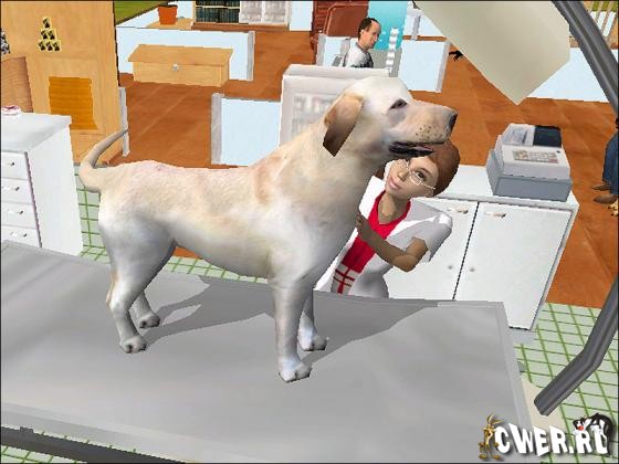 Звери, птицы и больница