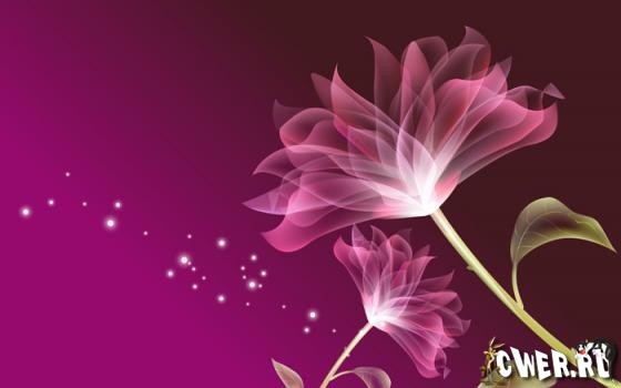 Abstract Flowers Design Wallpapers
