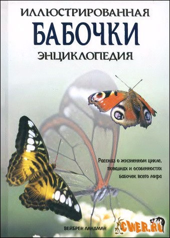 Бабочки, илюстрированная энциклопедия