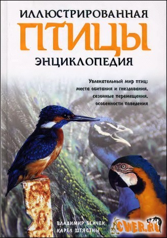 Птицы, илюстрированная энциклопедия