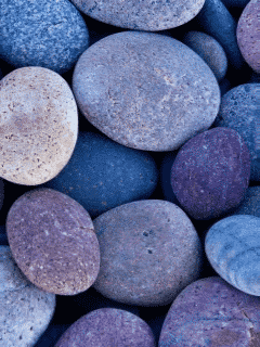 http://www.cwer.ru/files/u20457/nature_21.gif