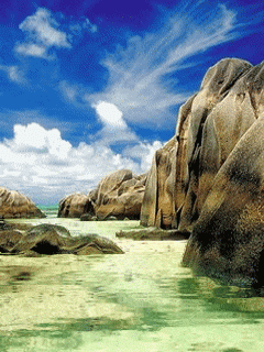 http://www.cwer.ru/files/u20457/nature_22.gif