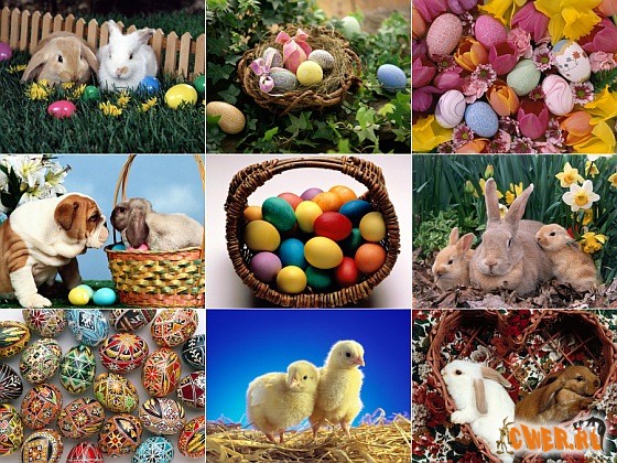 Webshots Premium: Easter Wallpapers Collection