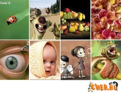 www.CWER.ws