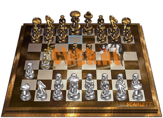http://www.cwer.ru/files/u5/08/03/chess.jpg