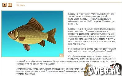 http://www.cwer.ru/files/u624707/Folder07/fish2.jpg
