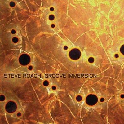 Steve Roach. Groove Immersion
