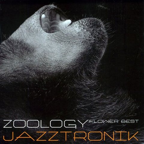Jazztronik - Zoology (2006)