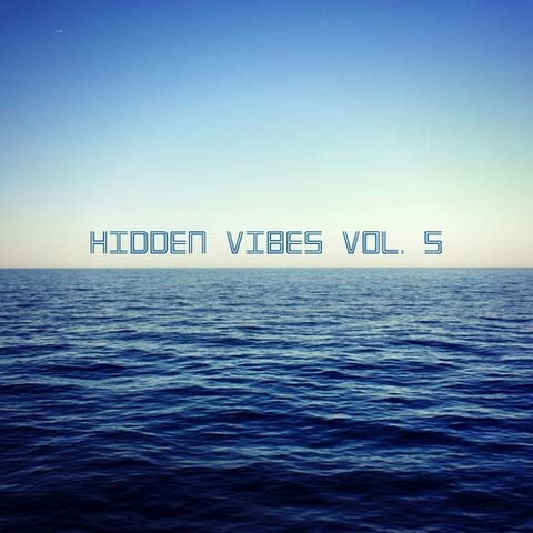 Hidden Vibes Vol 5 (2013)