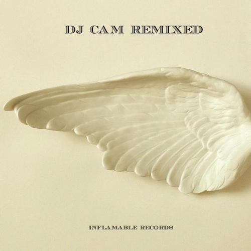 DJ Cam. Remixed (2013)