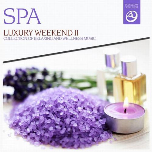 Luxury Weekend - Collection of Relaxingand Wellness Music Vol.2 (2013)