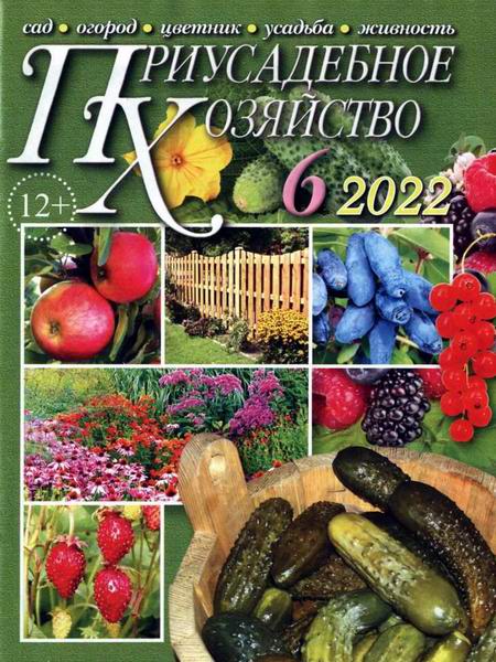 Приусадебное хозяйство №6 июнь 2022 + приложения Цветы в саду и дома Дачная кухня