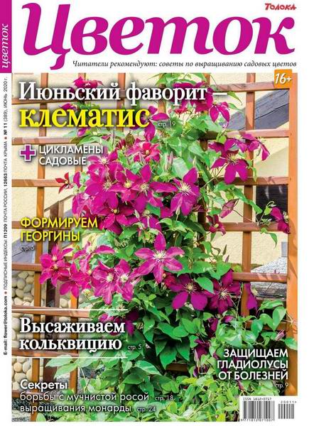 журнал Цветок №11 июнь 2020