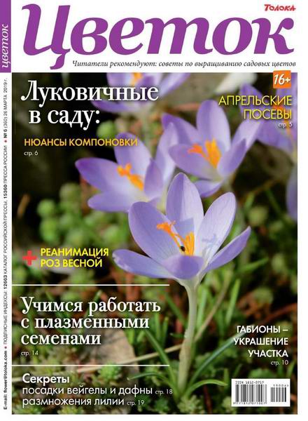 журнал Цветок №6 март 2019