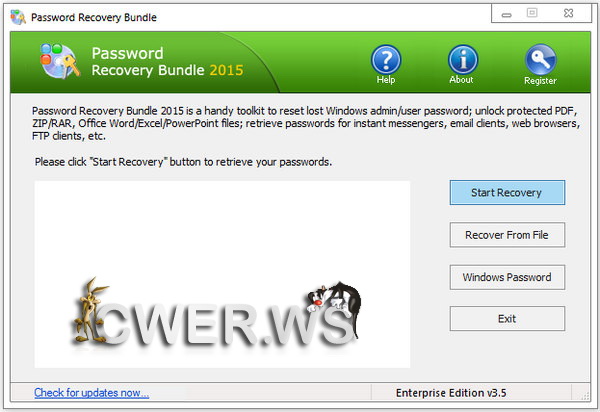 Password Recovery Bundle 2015 Enterprise Edition