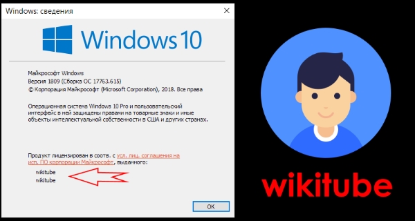 Как изменить зарегистрированного владельца и организацию в Windows 10