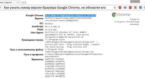 Как узнать номер версии браузера Google Chrome, не обновляя его