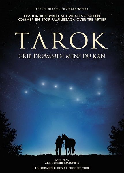 Поймать мечту / Tarok (2013/DVDRip