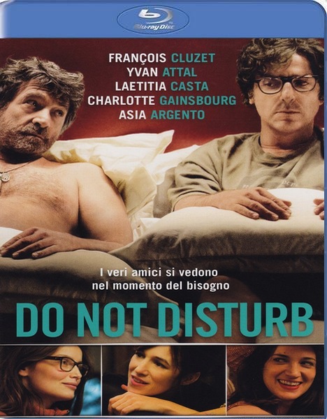 Не входить, мы не одеты / Do Not Disturb (2012) HDRip
