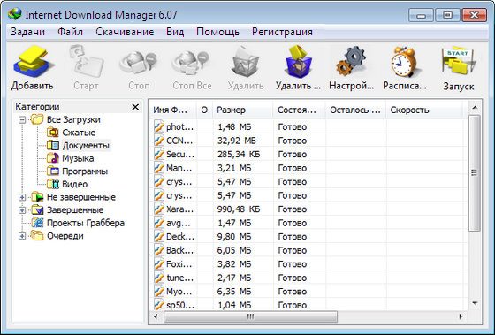 Internet Download Manager 6.07 build 12 Final