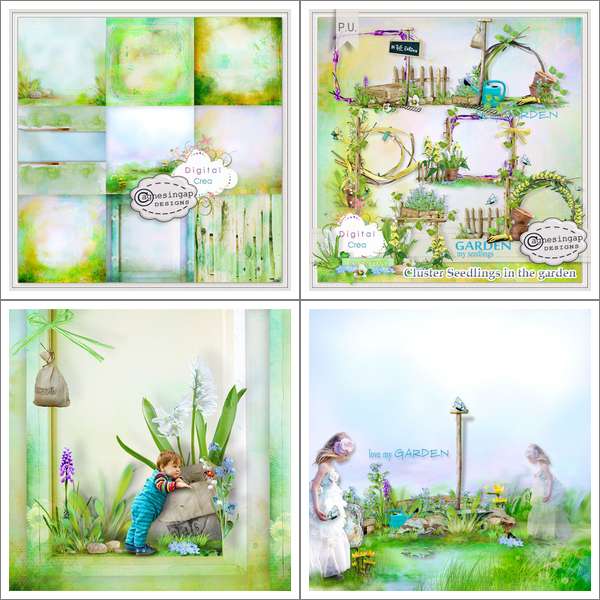 Seedlings In The Garden (Cwer.ws)