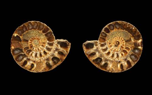 Mixed Amazing Wallpapers 