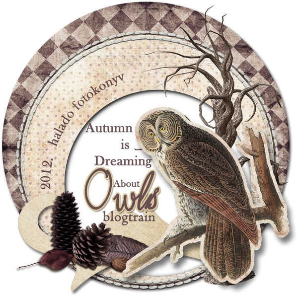 Autumn is dreaming about owls (Cwer.ws)