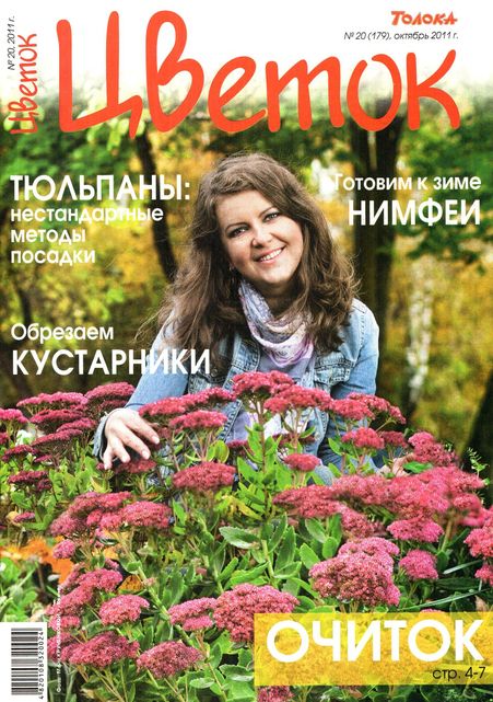 Цветок №20 (октябрь 2011)