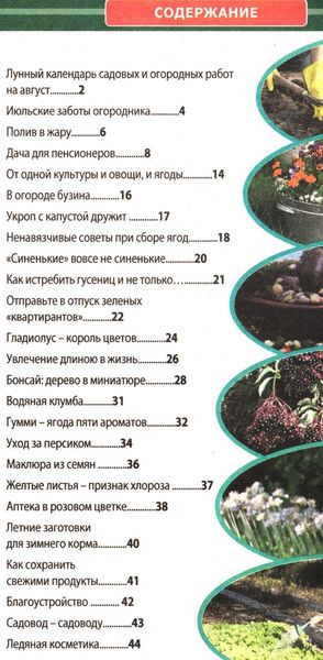 Приусадебное хозяйство №7 (июль 2012). Украина