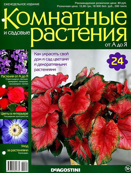 Комнатные и садовые растения от А до Я №24 2014