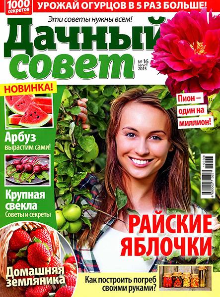 Дачный совет №16 2015