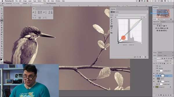 Adobe Photoshop: перевод изображений в Ч/Б и тонирование2