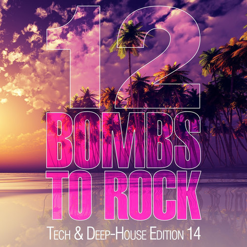 12 Bombs to Rock: Tech and Deep-House Edition 14