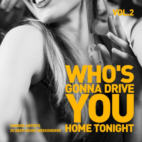 Whos Gonna Drive You Home Tonight: 25 Deep House Weekenders Vol.2