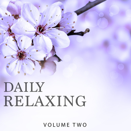 Daily Relaxing Vol.2: Chill Out and Ambient Music In Perfection
