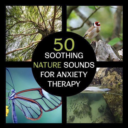 50 Soothing Nature Sounds for Anxiety Therapy: Peaceful Music to Calm Your Mind