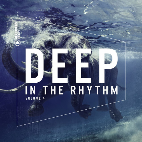 Deep In The Rhythm Vol.4