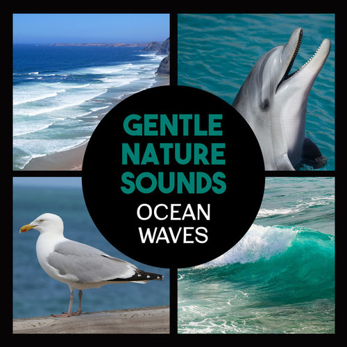 Gentle Nature Sounds: Ocean Waves Calming Music for Relaxation Healing Waters