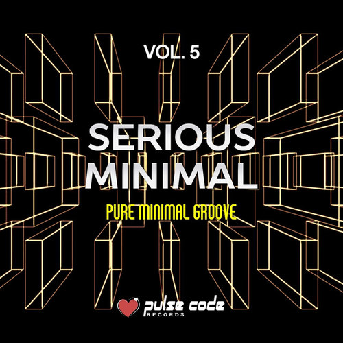 Serious Minimal Vol.5: Pure Minimal Groove