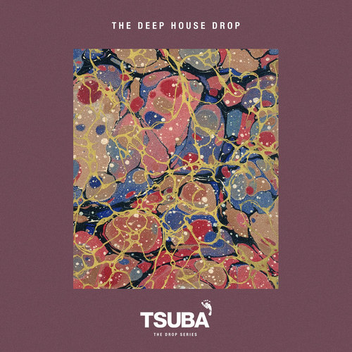 The Deep House Drop