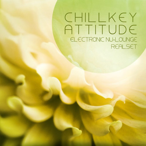 Chillkey Attitude Electronic Nu-Lounge Realset Rebuild