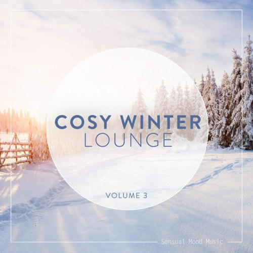 Cosy Winter Lounge Vol.3