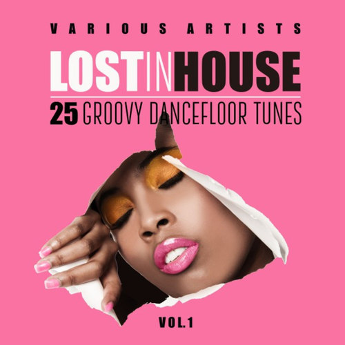 Lost in House: 25 Groovy Dancefloor Tunes Vol.1