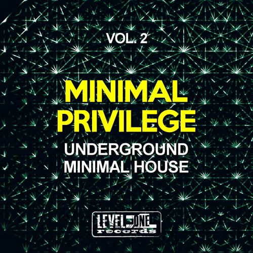 Minimal Privilege Vol.2: Underground Minimal House