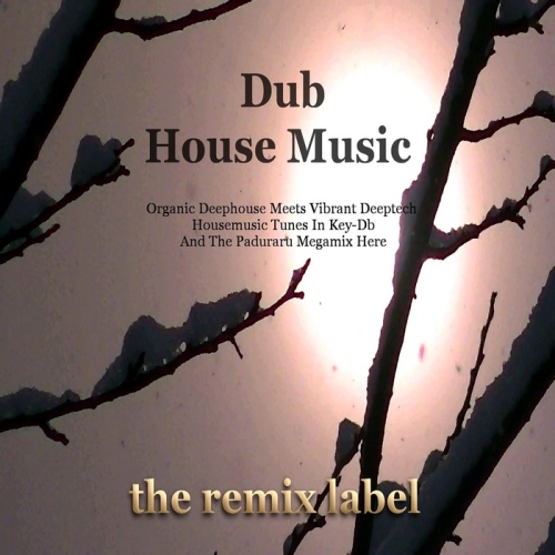 Dub House Music