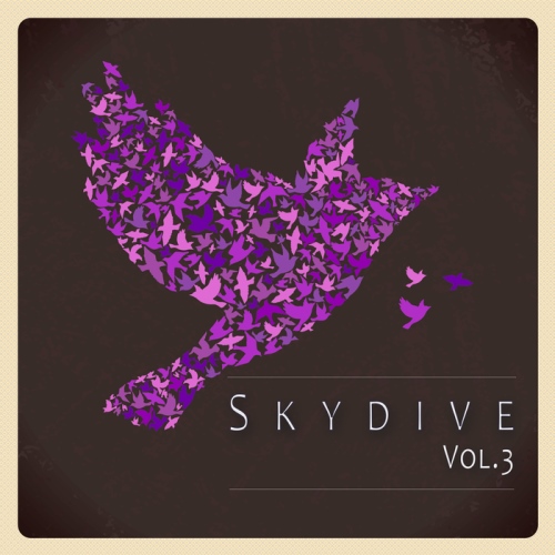 Skydive Vol 03