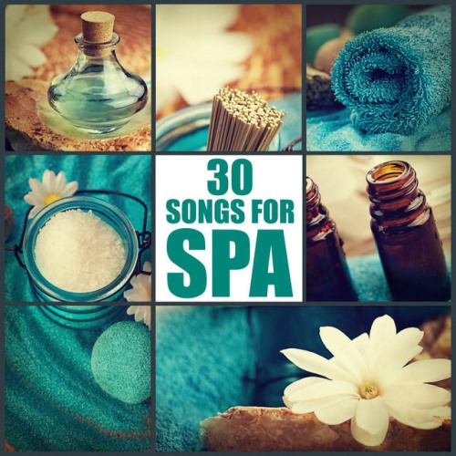 Essence of Life 30 Songs for Spa