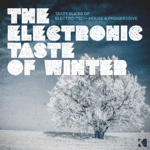 The Electronic Taste of Winter 