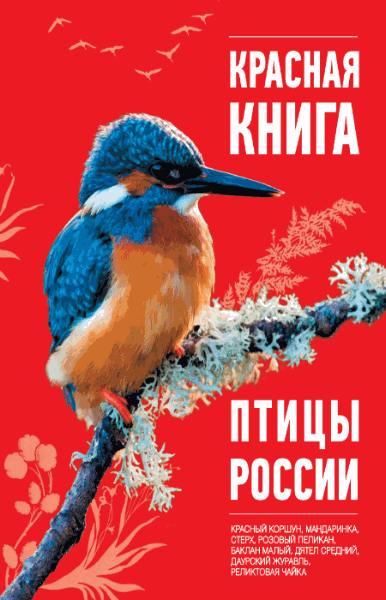 О.В. Скалдина. Красная книга. Птицы России