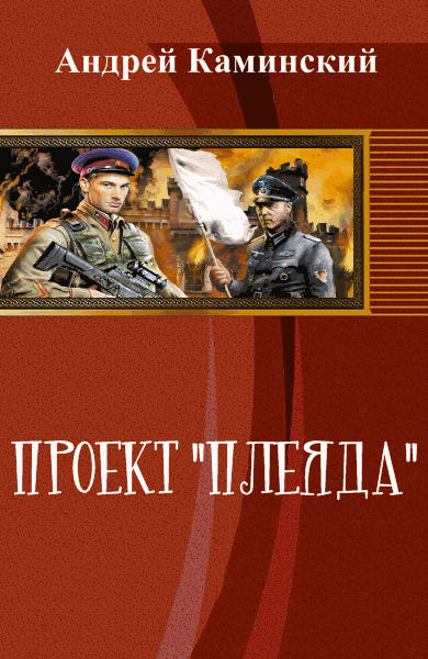 Андрей Каминский. Проект